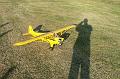 Piper Cub J-3 25.10.2011